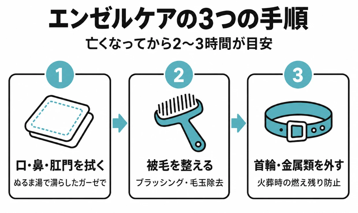 エンゼルケアの3つの手順(汚れを拭く・整える・首輪を外す)