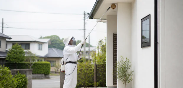 アシナガバチ・ミツバチの巣を発見したら？種類別の対処法・駆除費用・業者選びまで徹底解説