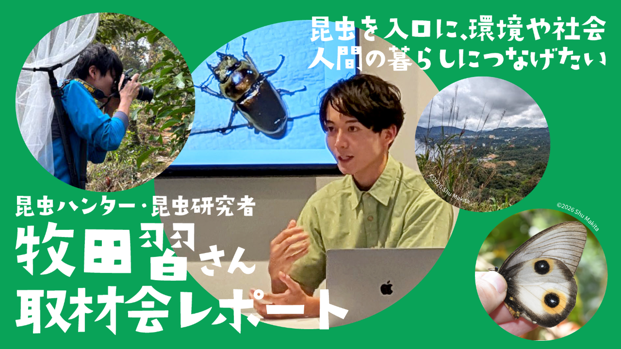 昆虫を見れば地球がわかる!? 昆虫ハンター・牧田習さんが世界で見たもの