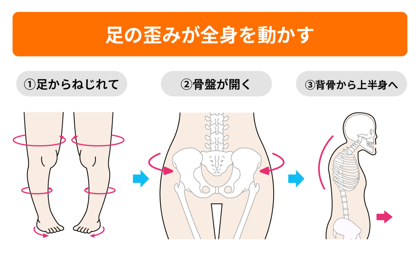 履くだけで身体の歪みが改善するバランス革命 骨盤矯正は意味がない？一時的なケアより重心を整えることが重要 | Racbaki