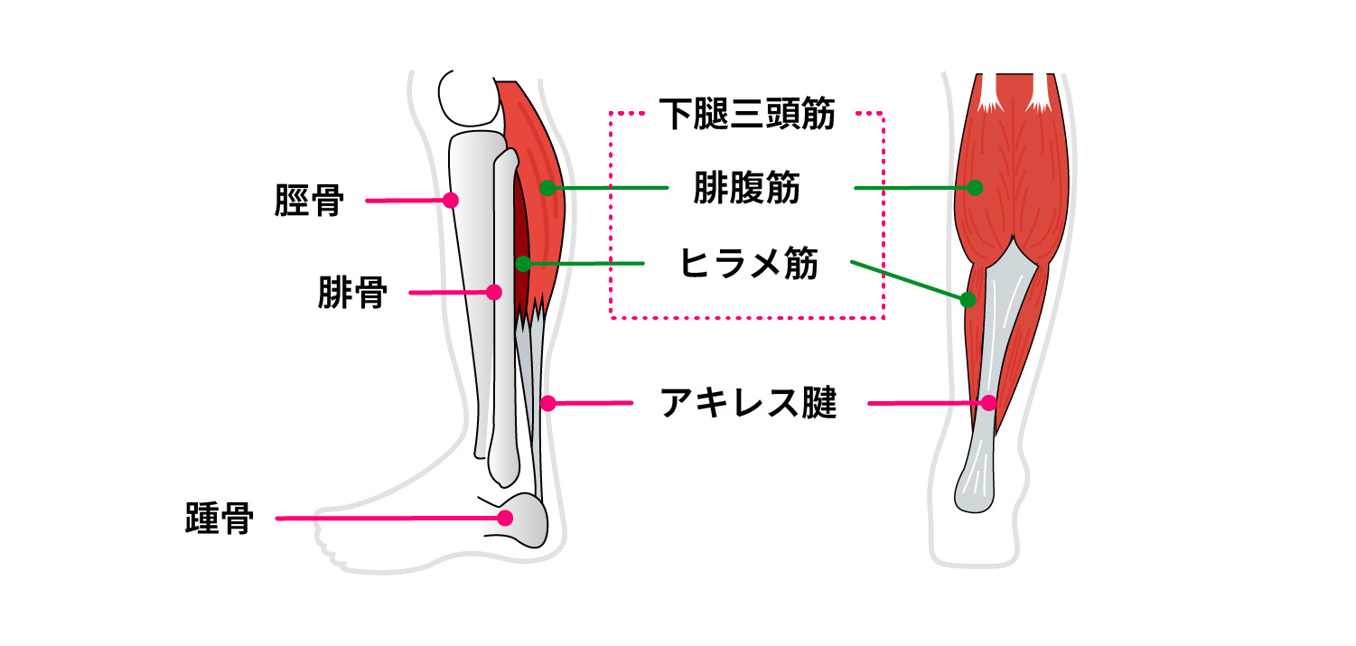 カー フレイズとは
