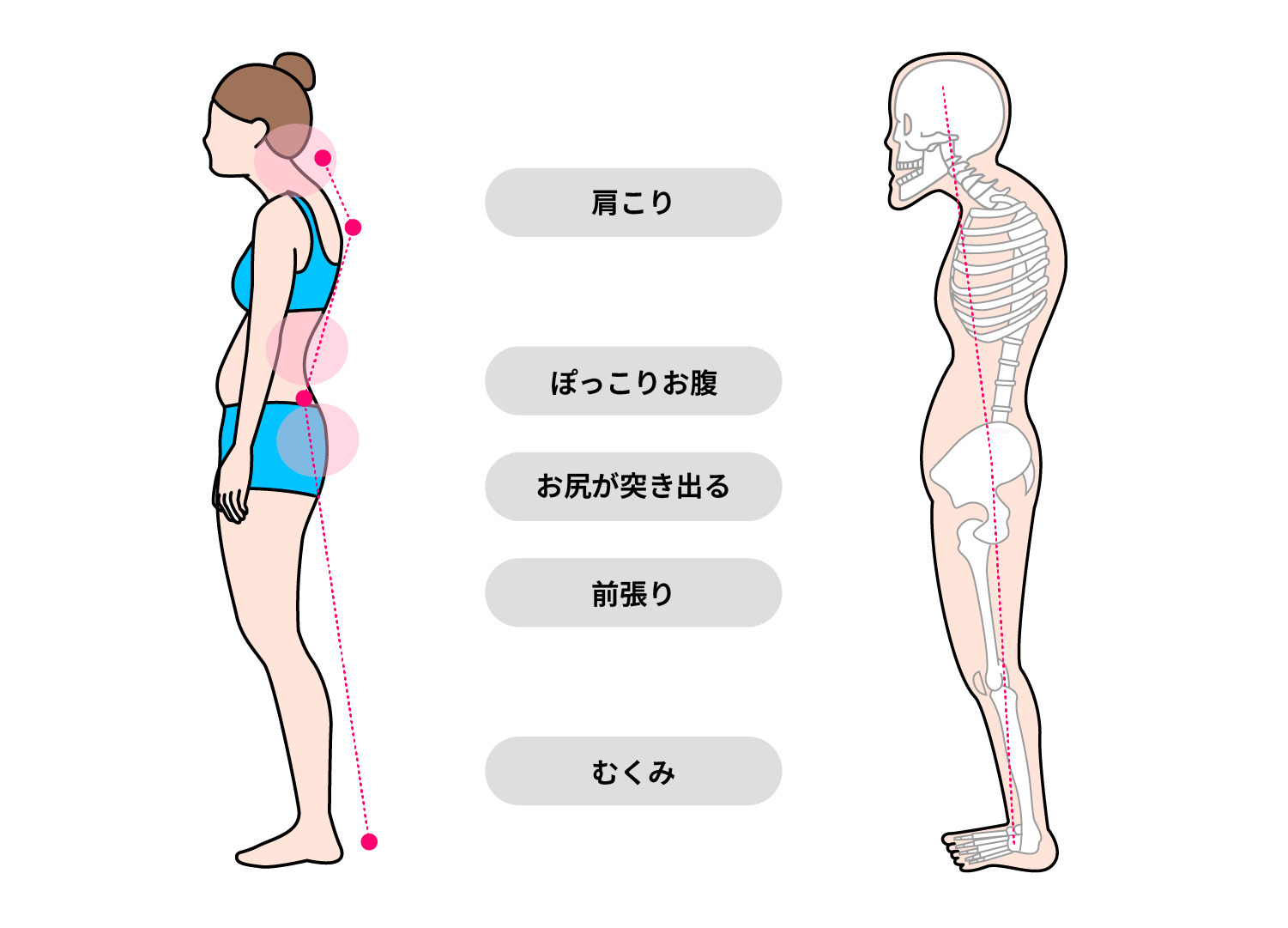 活動歴および当時の関連ビジュアル記録