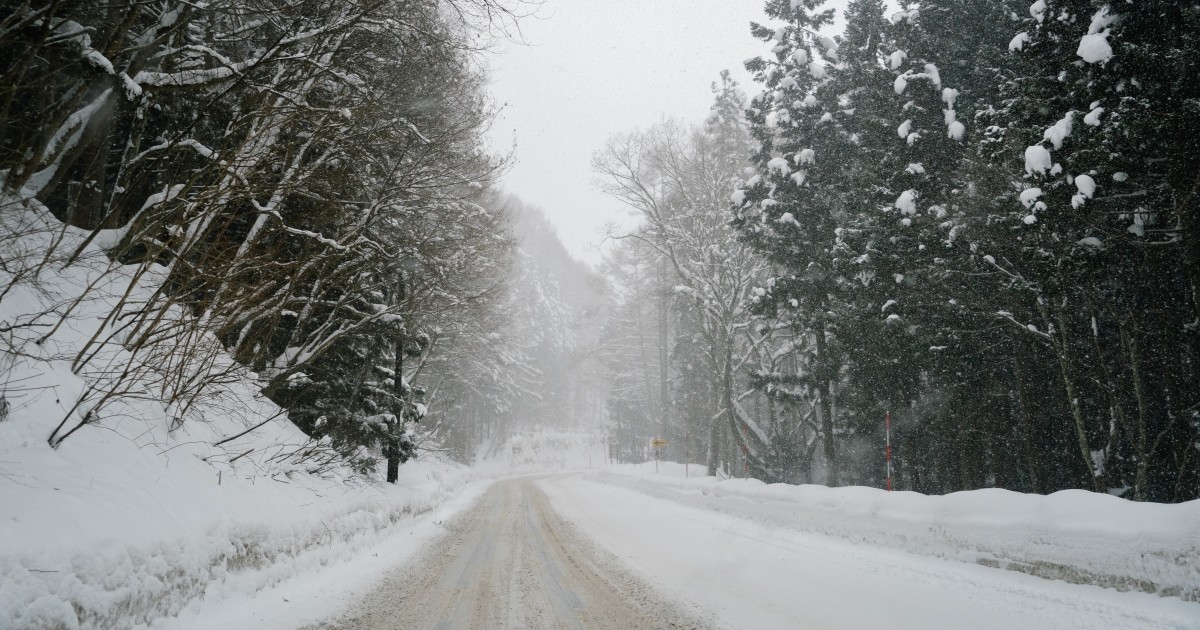 長野県山ノ内町の冬の山道