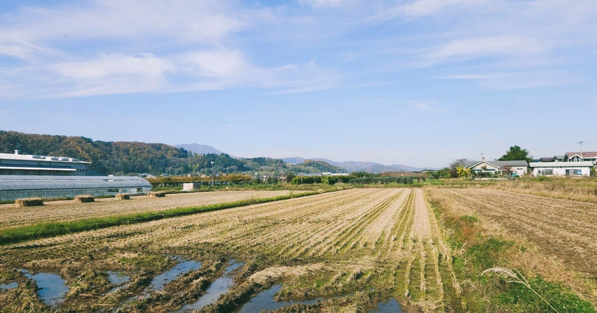 長野県中野市の田んぼと工場の風景