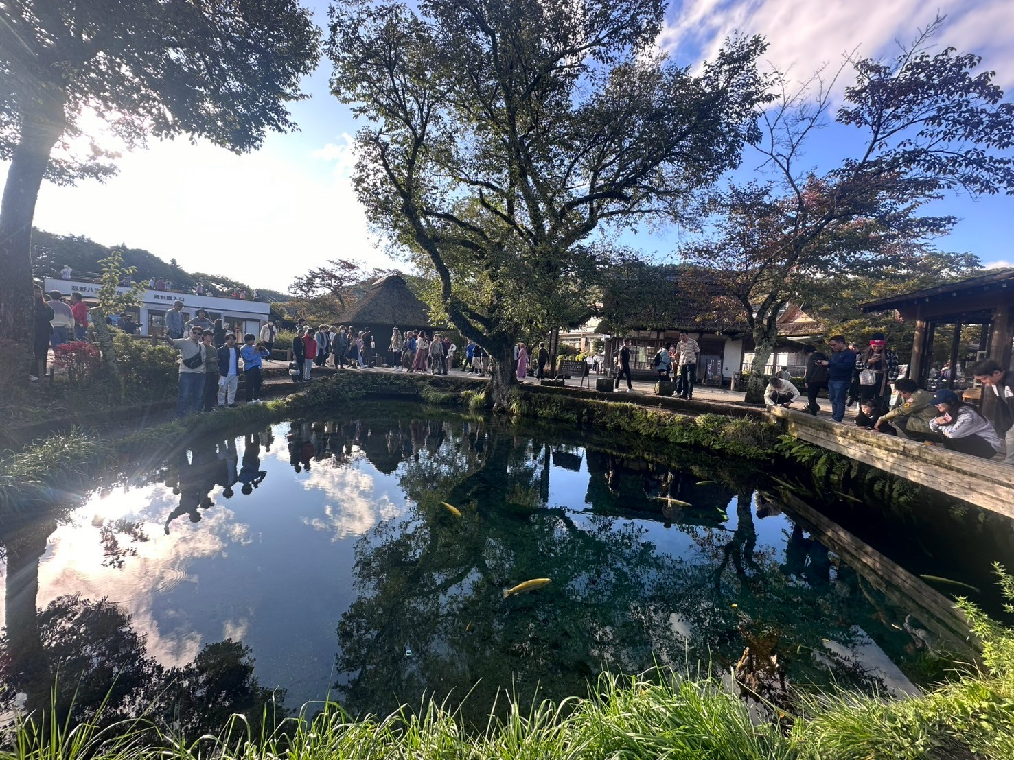 Short Day Private Tour