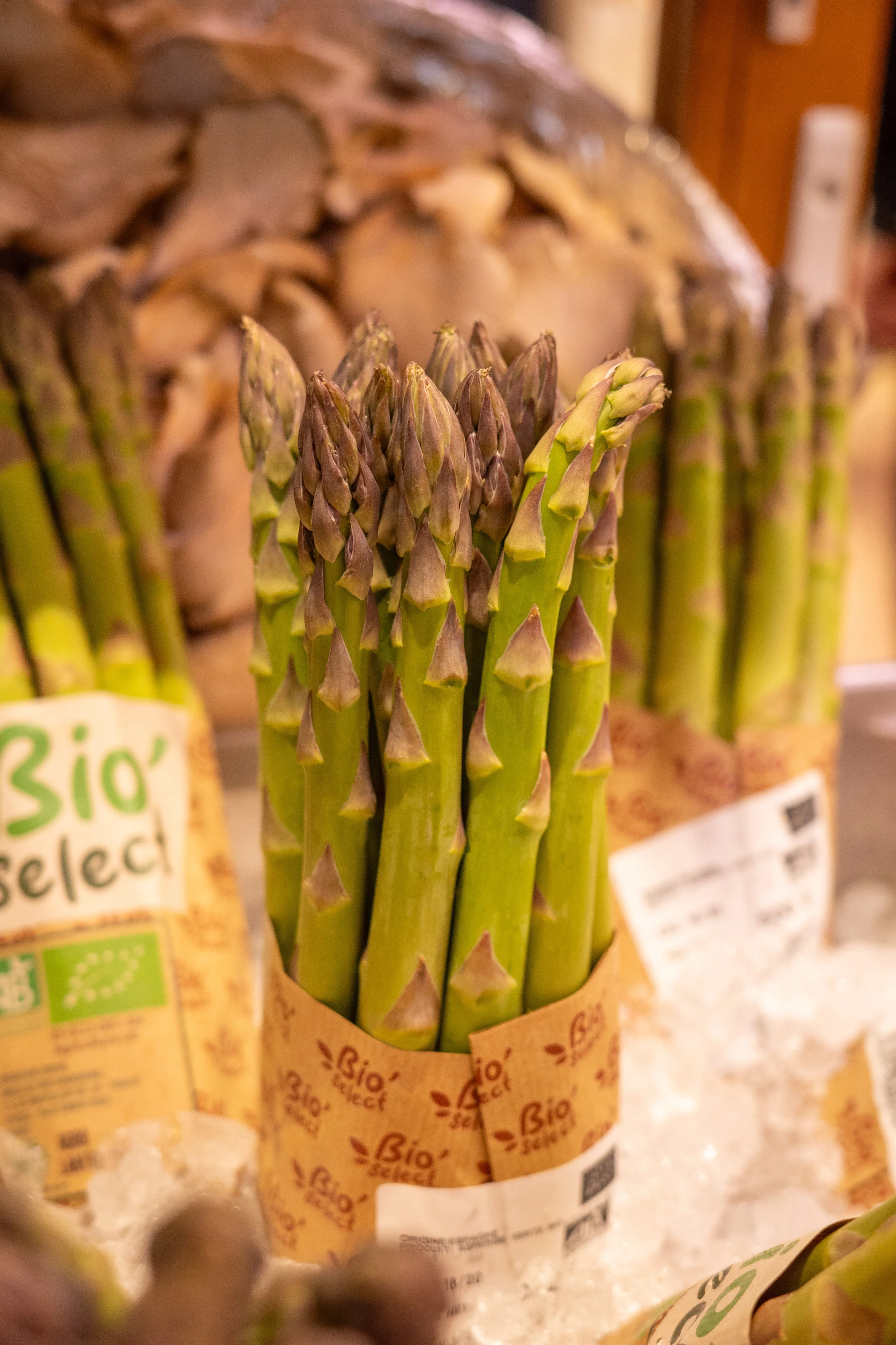 自分という土で考える