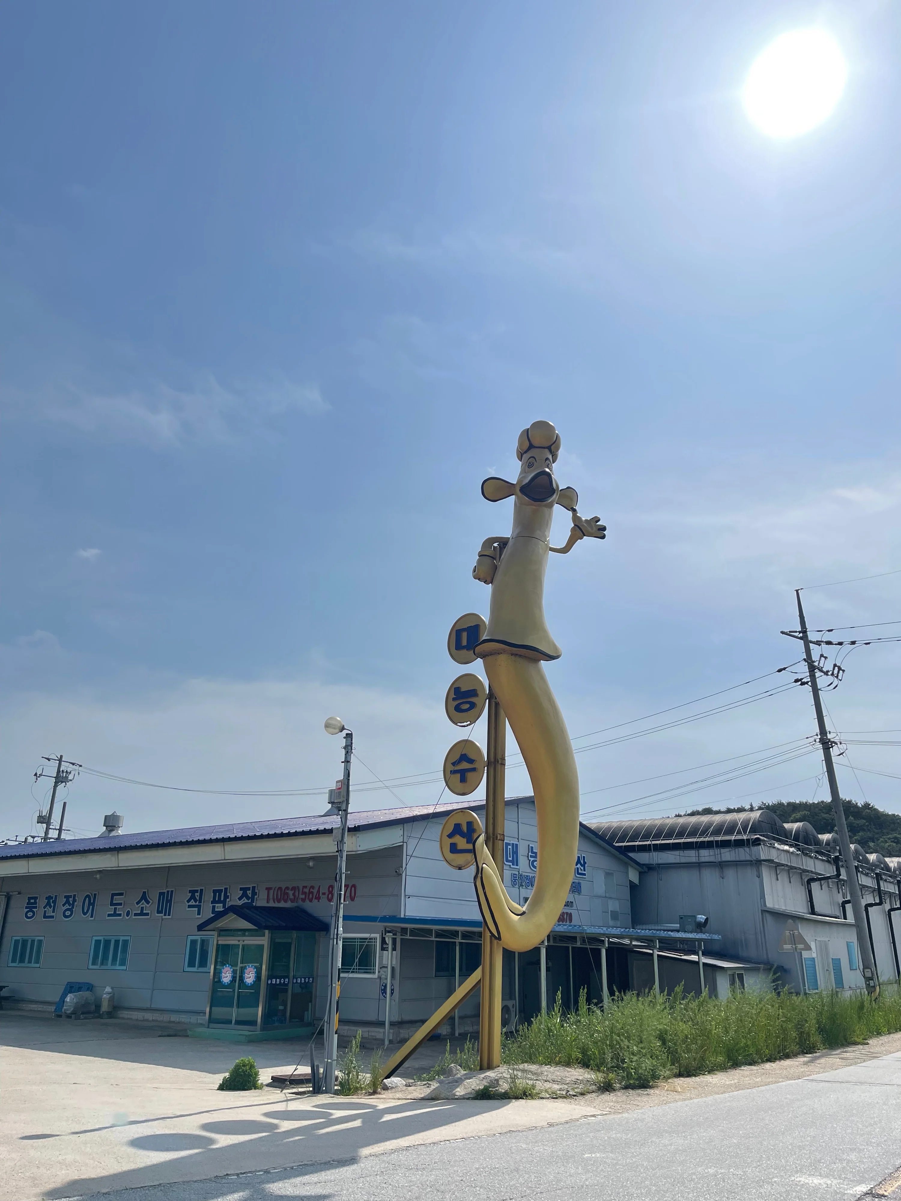 土用の丑の日に、鰻