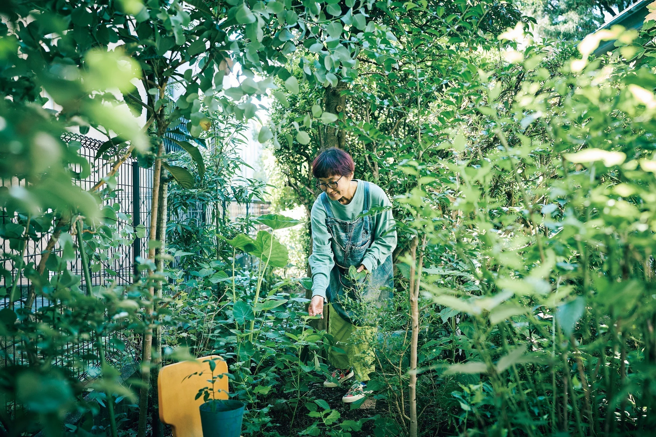 音楽家｜良原リエ