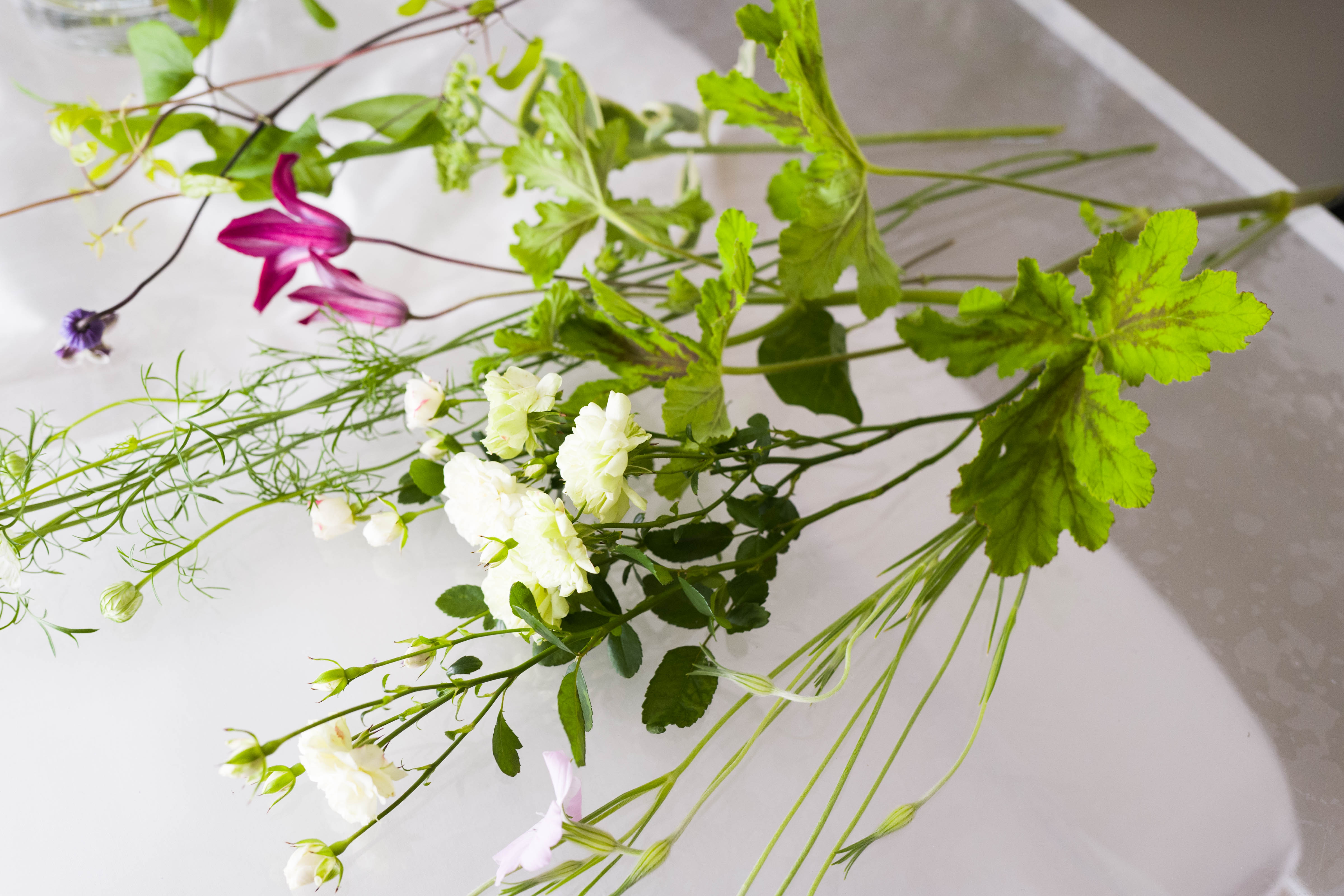 食いしん坊のクローゼット