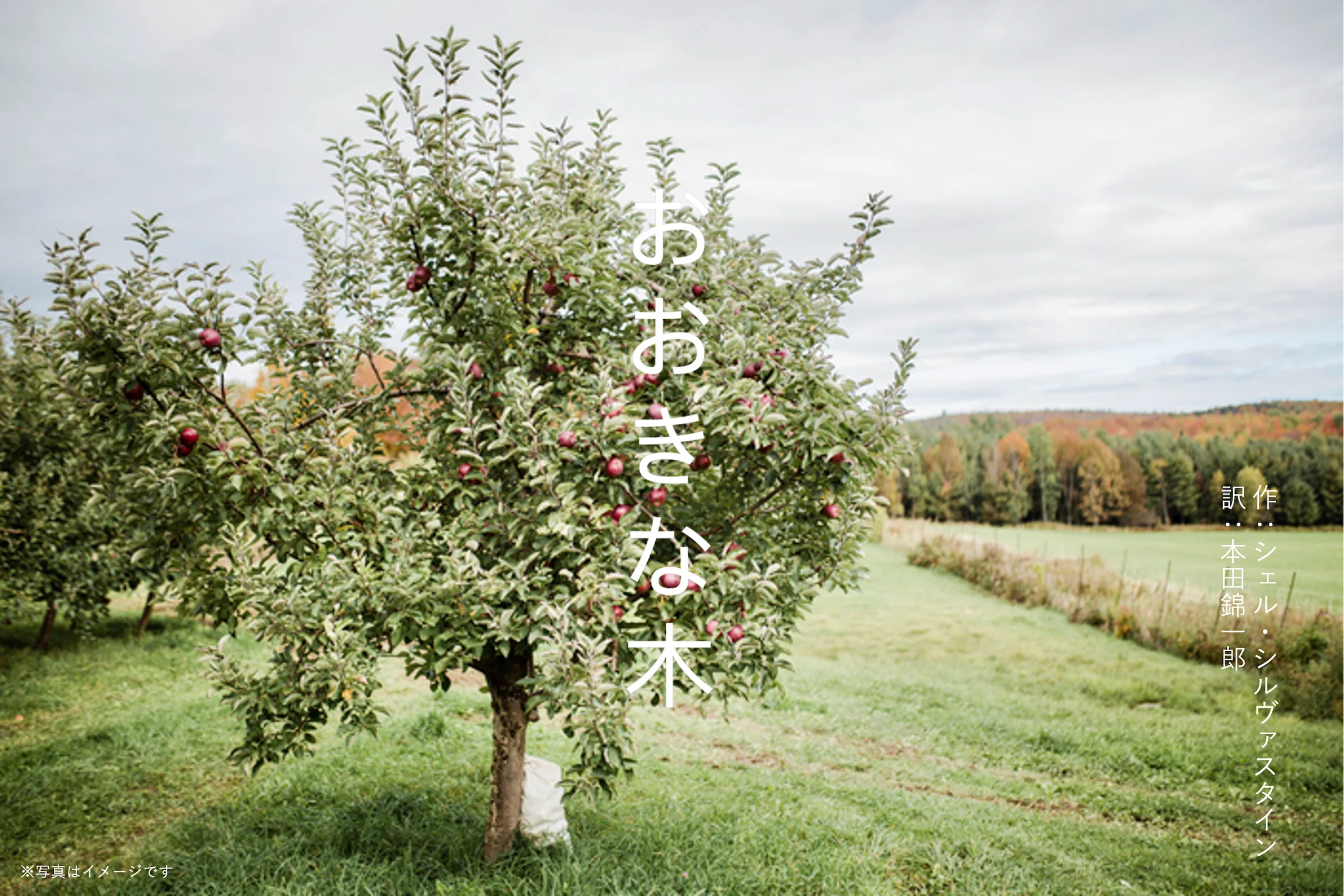 あなたにとって、記憶を共有できるご飯はなんですか？