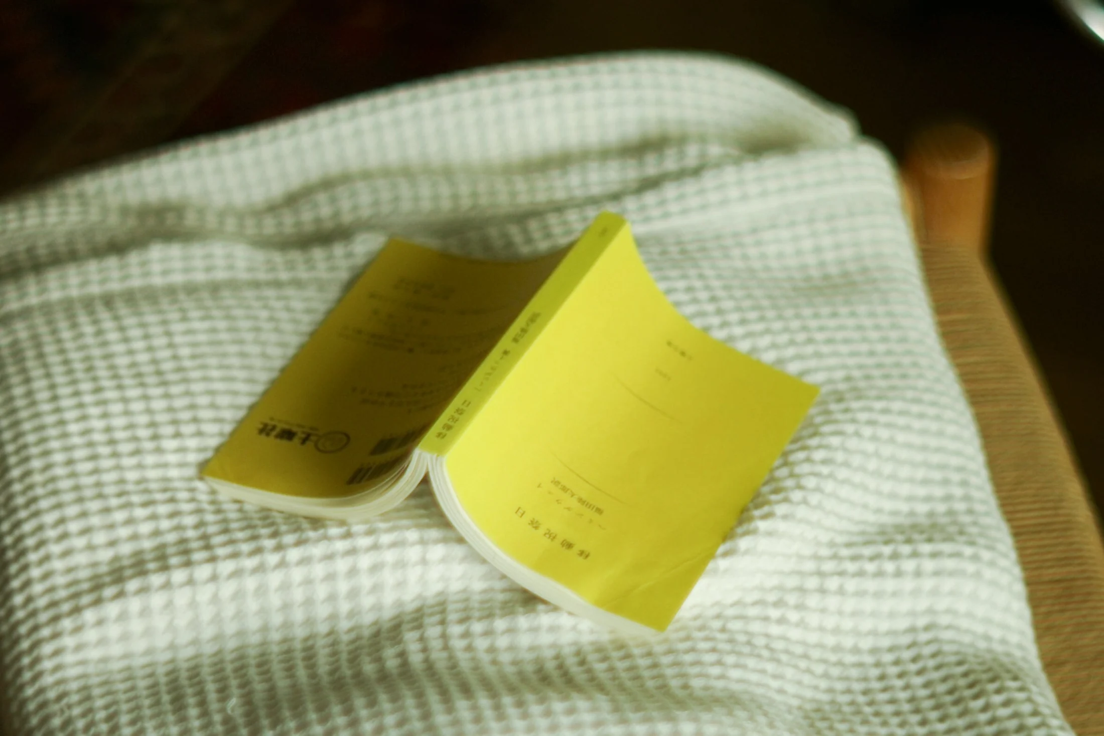 Kさんと『料理歳時記』