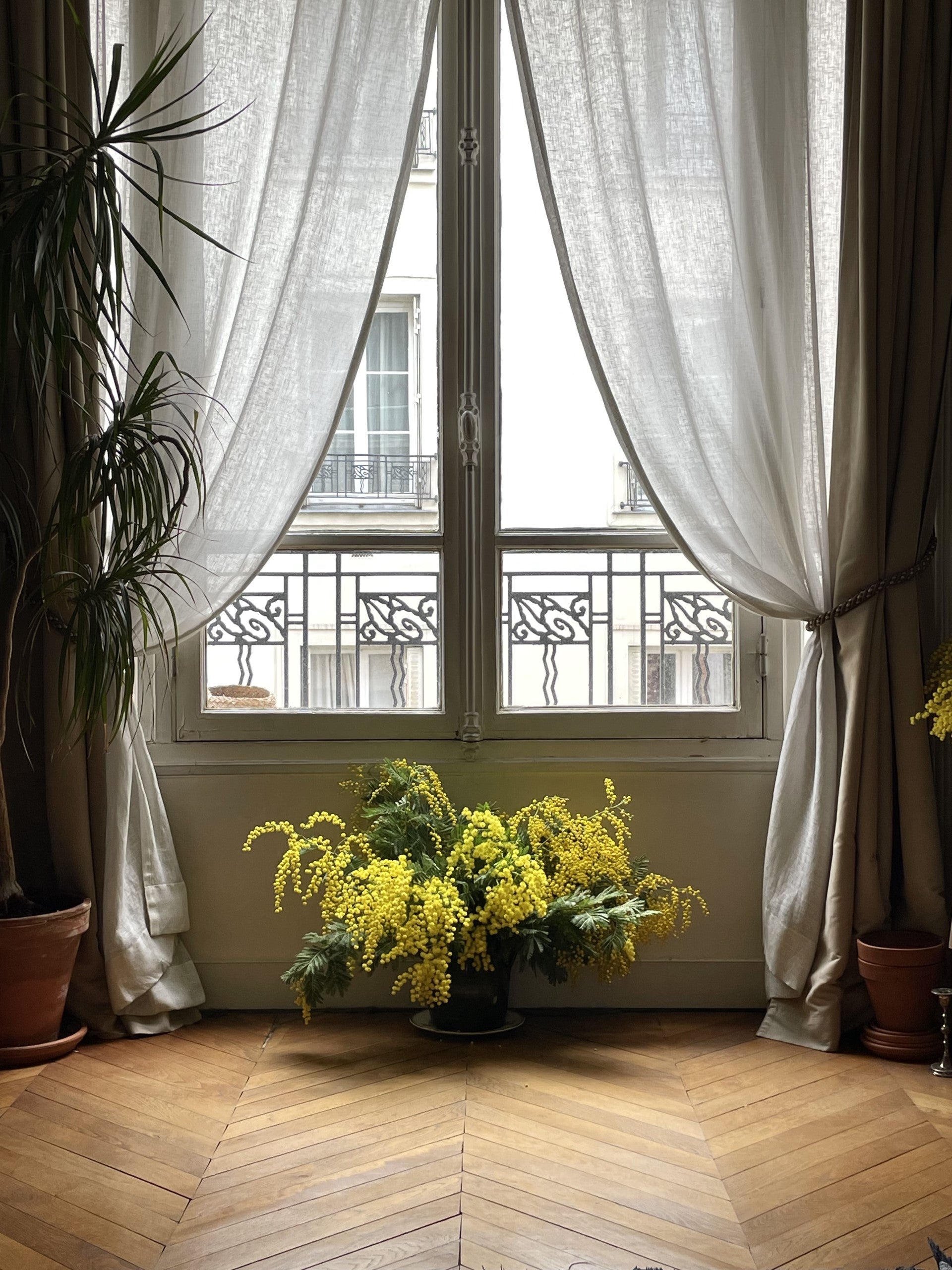 ミモザといえば、卵。