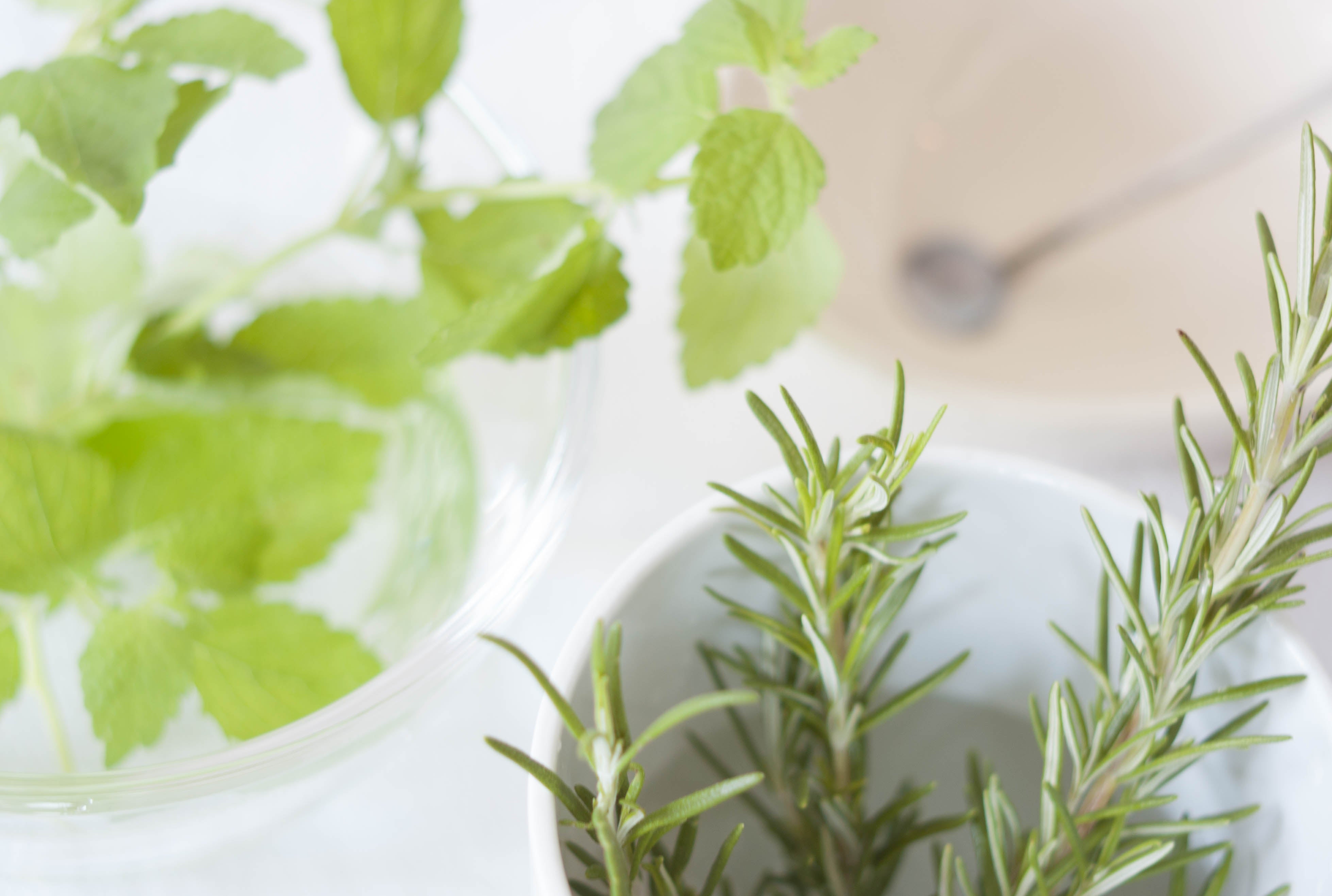 食いしん坊のクローゼット