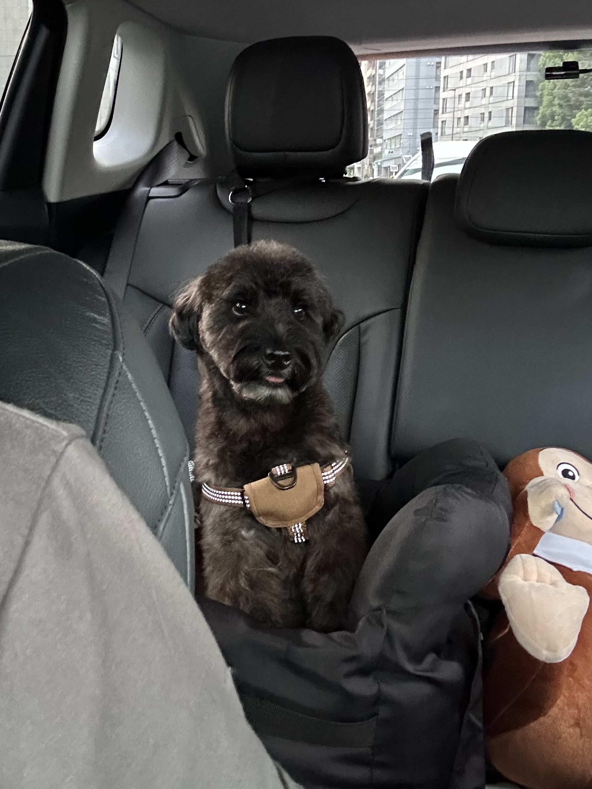 ここだけのはなし