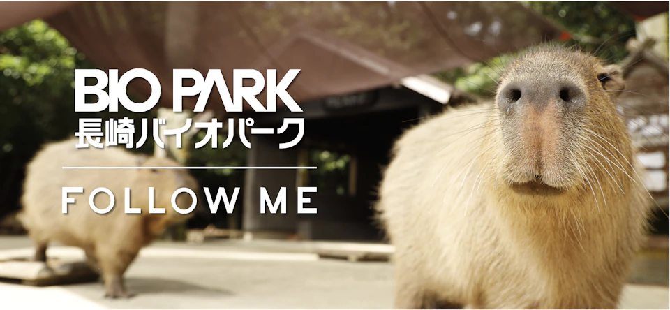 長崎バイオパークのカピバラのイメージ画像
