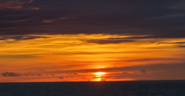 【受験生必見】岩手大学・獣医学科の特色を徹底解説！農工大連携のすべてに関する大学受験ブログ記事のサムネイル画像