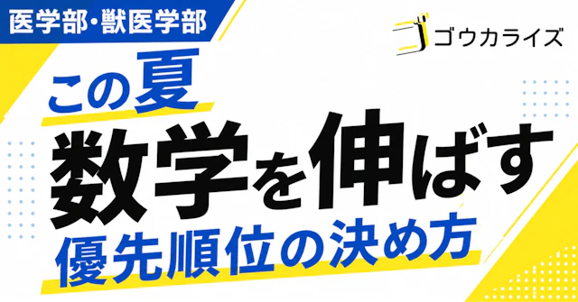 【医学部・獣医学部】 この夏に数学を「得点力」に変える、優先順位の決め方に関する大学受験ブログ記事のサムネイル画像