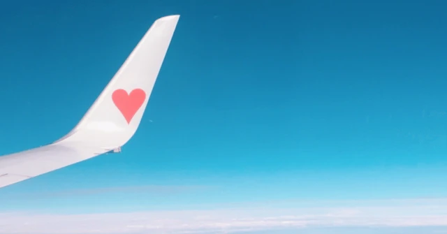 【日大獣医学科】海外研修・留学で、君も国際獣医師への一歩を踏み出そうに関する大学受験ブログ記事のサムネイル画像