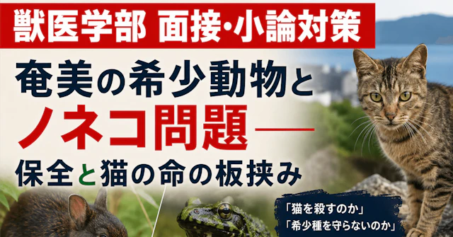【獣医学部 面接・小論対策】 奄美の希少動物とノネコ問題――保全と猫の命の板挟みに関する大学受験ブログ記事のサムネイル画像