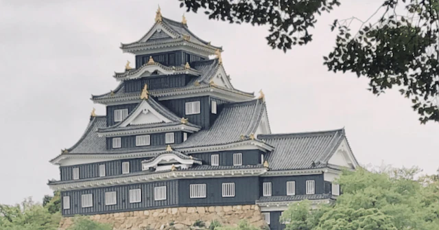 【岡山理科大学 獣医学部】推薦入試で合格を掴む！貢献意欲の伝え方に関する大学受験ブログ記事のサムネイル画像