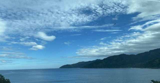岡山理科大学獣医学部 推薦入試対策ガイド【過去の出題傾向つき】に関する大学受験ブログ記事のサムネイル画像