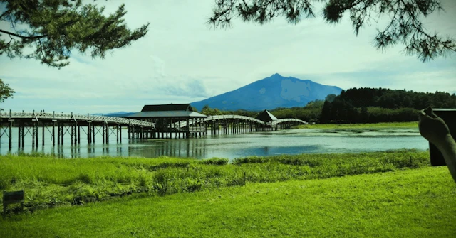  【北里大学 獣医学部】十和田でのリアルな学生生活！学び、暮らし、成長の6年間に関する大学受験ブログ記事のサムネイル画像