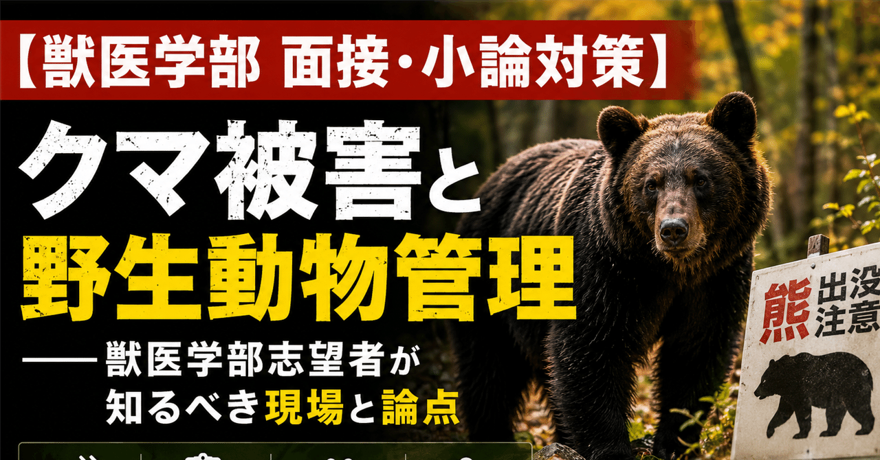 【獣医学部 面接・小論対策】 クマ被害と野生動物管理――獣医学部志望者が知るべき現場と論点に関する大学受験ブログ記事のサムネイル画像
