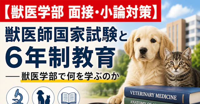 【獣医学部 面接・小論対策】 獣医師国家試験と6年制教育――獣医学部で何を学ぶのかに関する大学受験ブログ記事のサムネイル画像