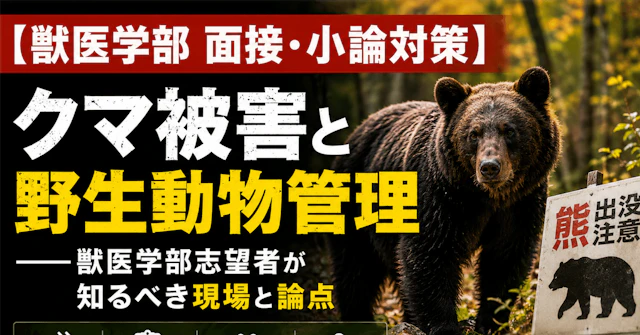 【獣医学部 面接・小論対策】 クマ被害と野生動物管理――獣医学部志望者が知るべき現場と論点に関する大学受験ブログ記事のサムネイル画像