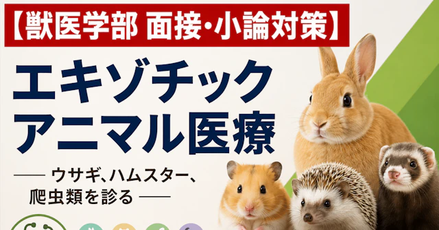 【獣医学部 面接・小論対策】 エキゾチックアニマル医療――ウサギ、ハムスター、爬虫類を診るに関する大学受験ブログ記事のサムネイル画像