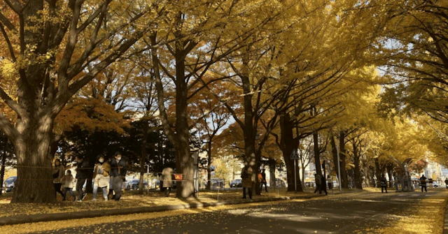 【北大獣医】 獣医は動物のお医者さんだけ？北大獣医学部卒業生の無限のキャリアパスに関する大学受験ブログ記事のサムネイル画像