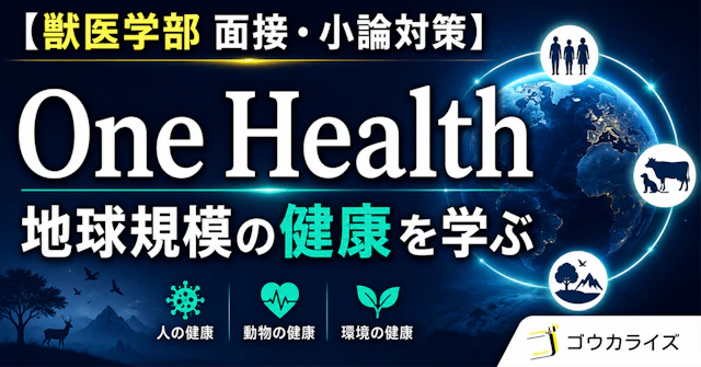 【獣医学部 面接・小論対策】 One Health(ワンヘルス)とは何か?獣医学部志望者が絶対に押さえるべき「地球規模の健康」に関する大学受験ブログ記事のサムネイル画像