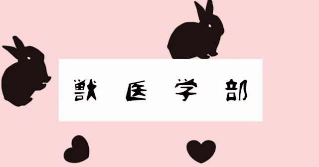 【日大 獣医学科】総合大学で獣医を学ぶことの、本当の意味と無限の可能性に関する大学受験ブログ記事のサムネイル画像