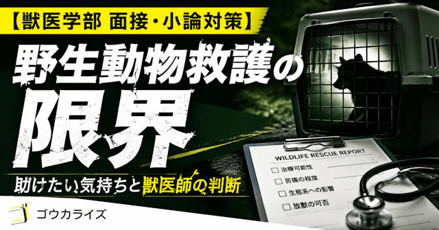 【獣医学部 面接・小論対策】 野生動物救護の限界――すべての命を救えない現実と獣医師の判断に関する大学受験ブログ記事のサムネイル画像