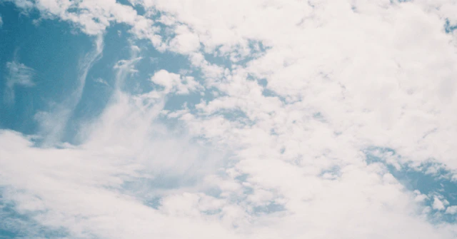 【辛口レビュー】数学参考書マニアが徹底解説！白チャート数学は本当に"使える"のか？に関する大学受験ブログ記事のサムネイル画像