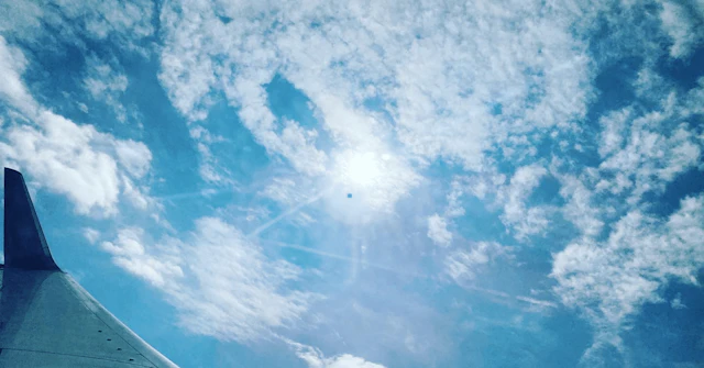 【岡山理科大学 獣医学部】「今治モデル」：四国唯一の獣医学教育の全貌に関する大学受験ブログ記事のサムネイル画像