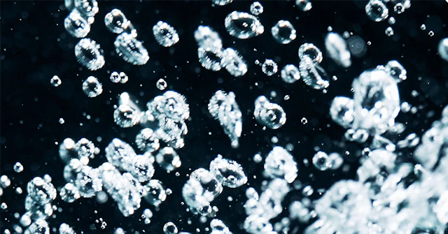 麻布大学学校推薦型選抜　小論文対策⑤　2019を題材にに関する大学受験ブログ記事のサムネイル画像