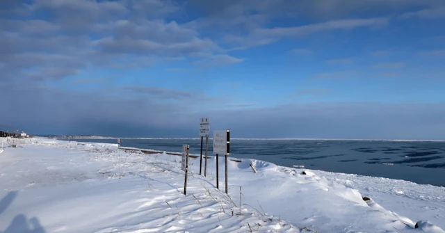 【北大獣医学部】「共同獣医学課程」のすべて！6年間の学びと最先端研究を徹底解剖に関する大学受験ブログ記事のサムネイル画像