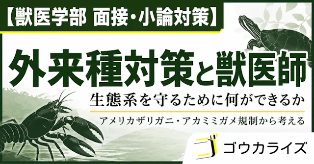 【獣医学部 面接・小論対策】 外来種対策と獣医師――生態系を守るために何ができるかに関する大学受験ブログ記事のサムネイル画像