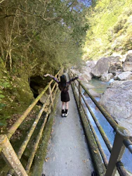 4浪目の大逆転！ゴウカライズで掴んだ獣医学部合格！ の合格体験記の受講生プロフィール画像