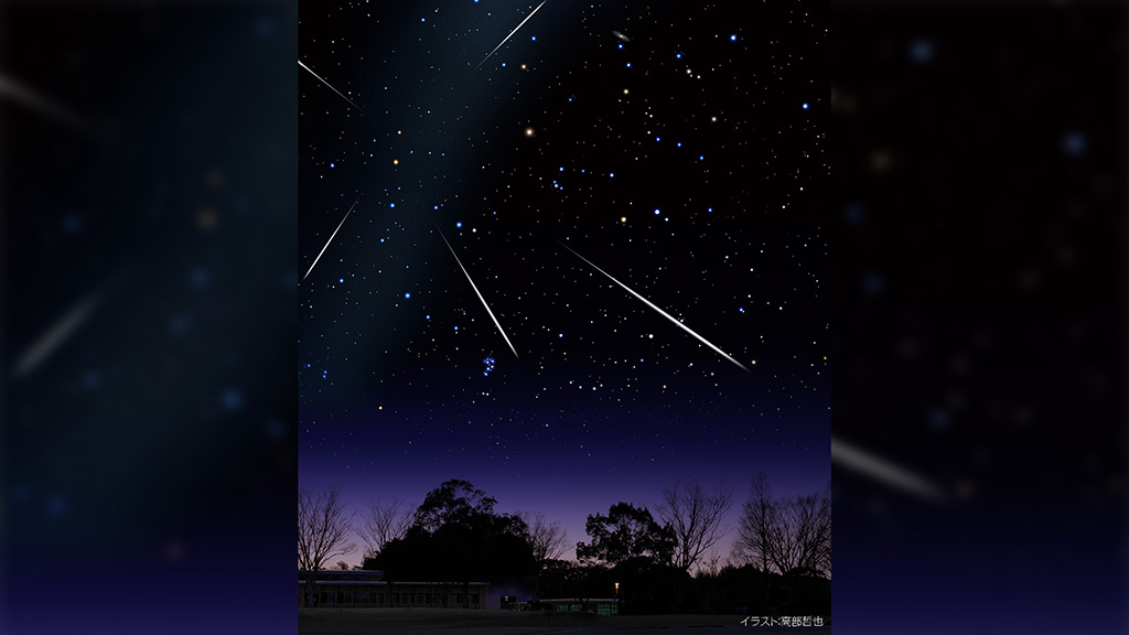 流星群の降る夜