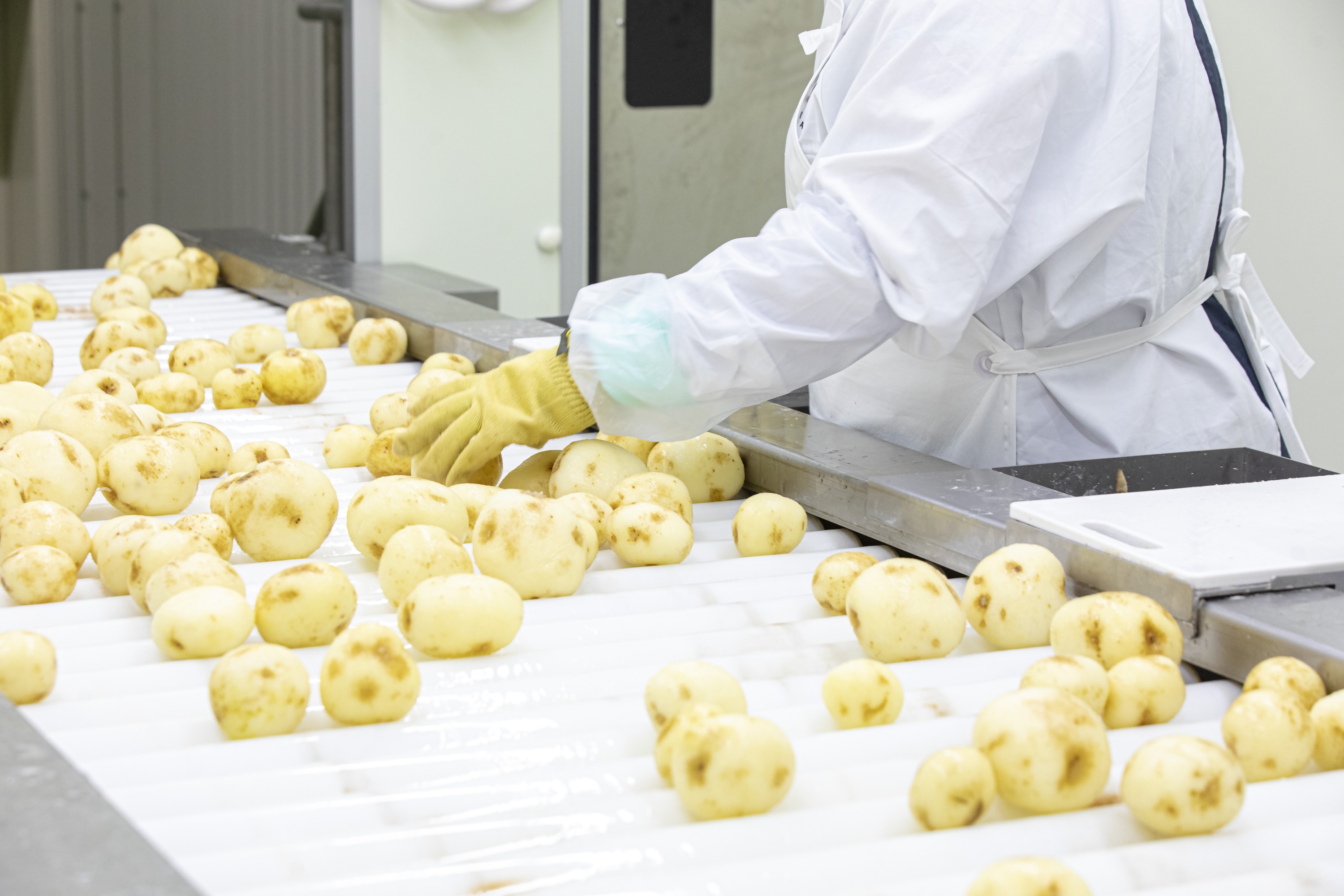 ポテトチップスのお仕事コース