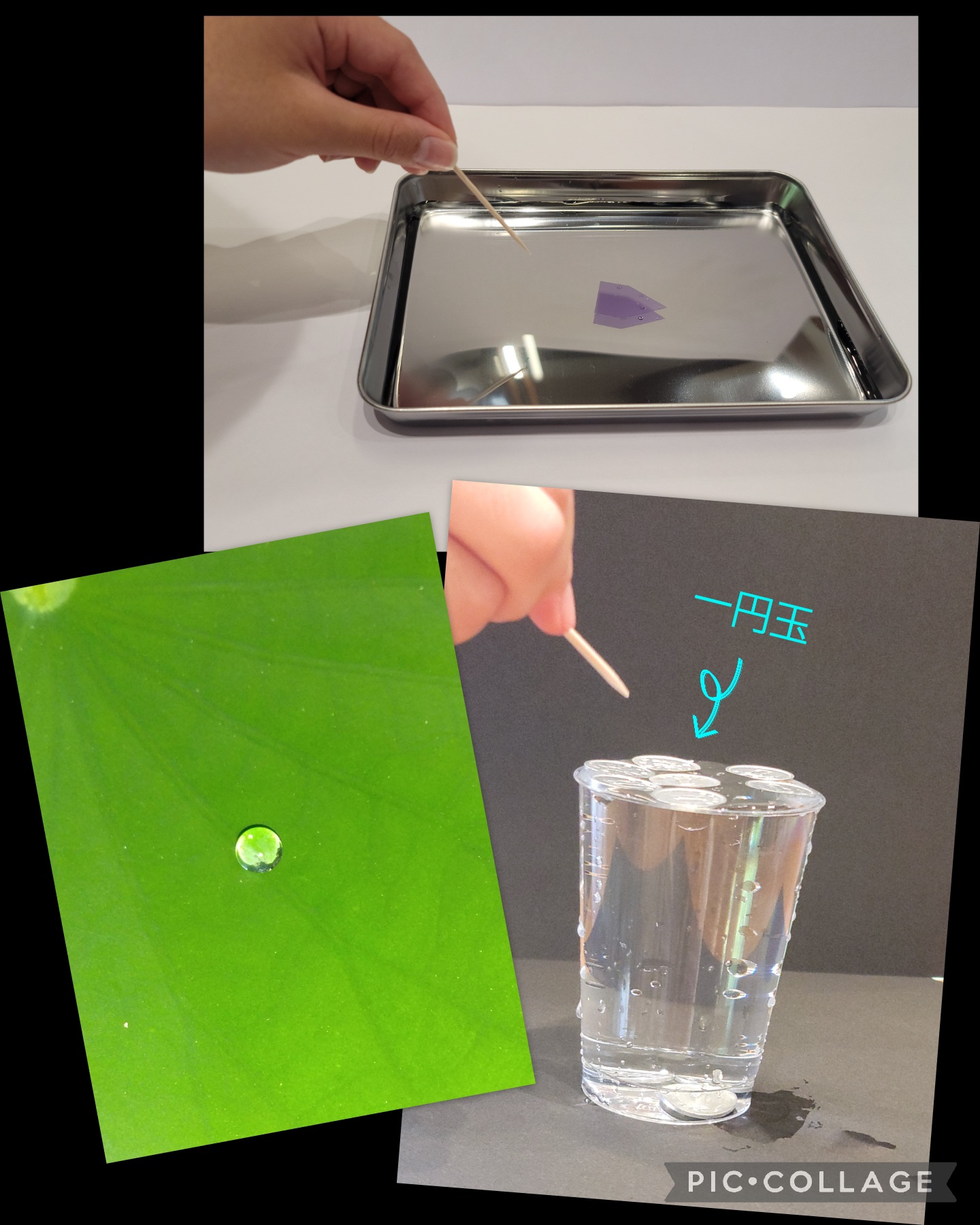 理科読 水あそびコレクション