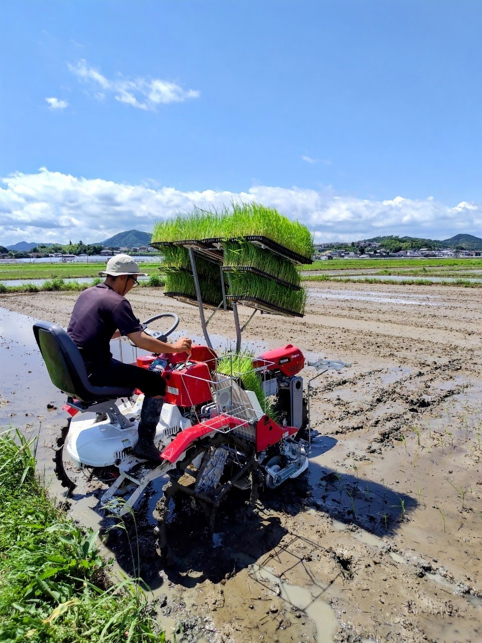 おこめ農家コース