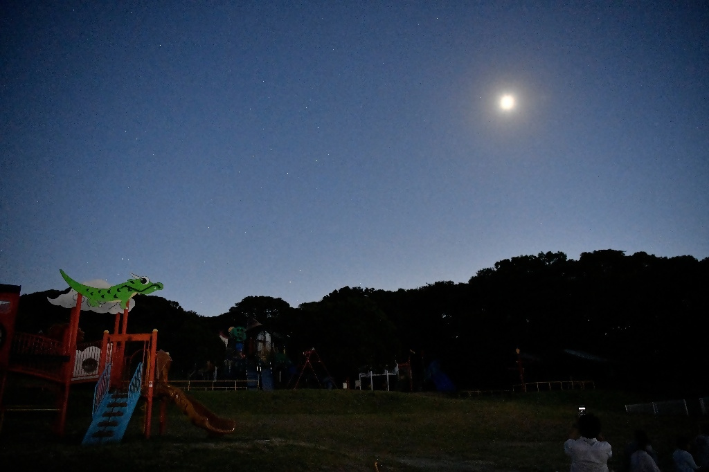森の夜の星空観察会