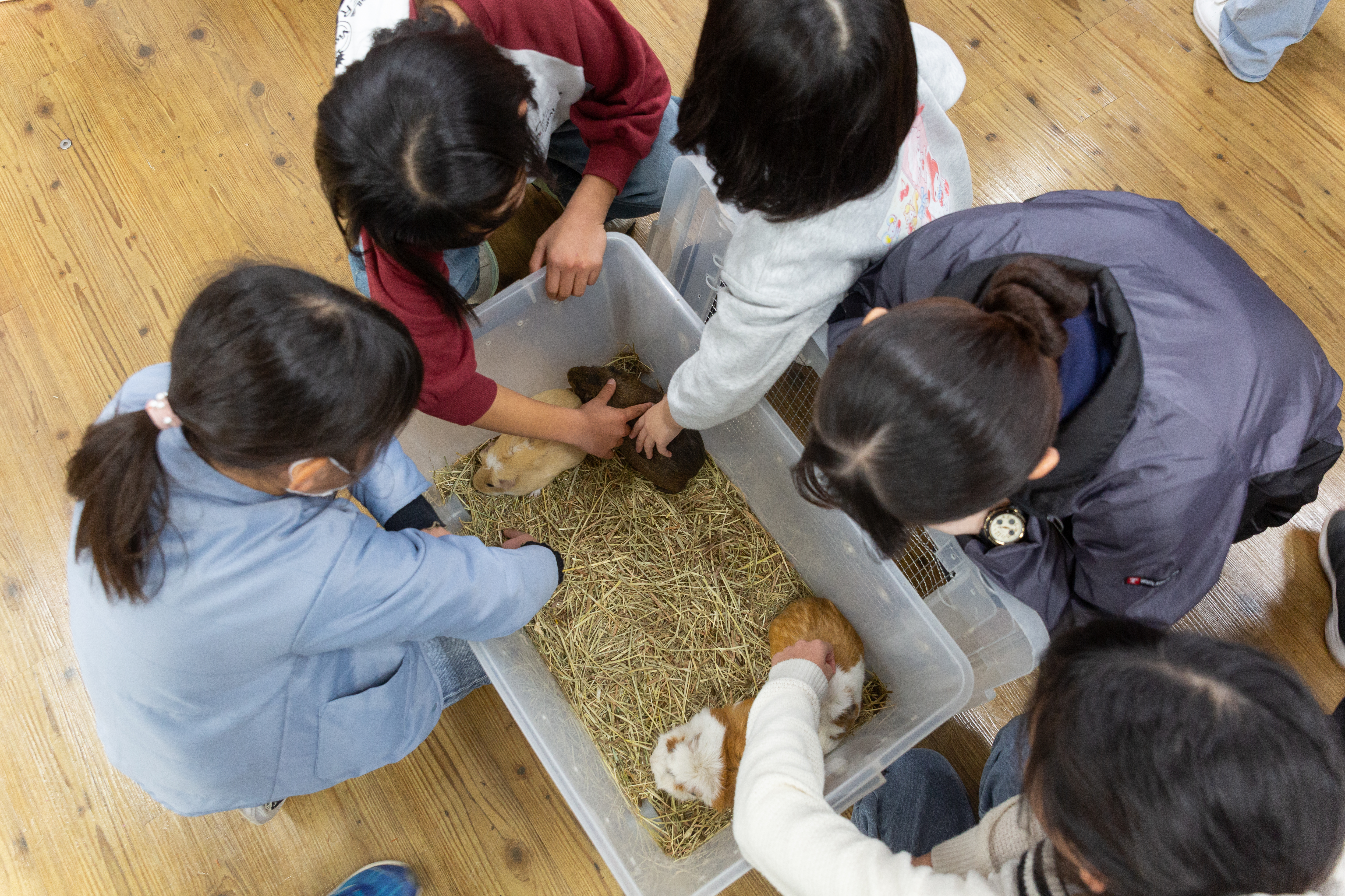 実施レポート画像 2