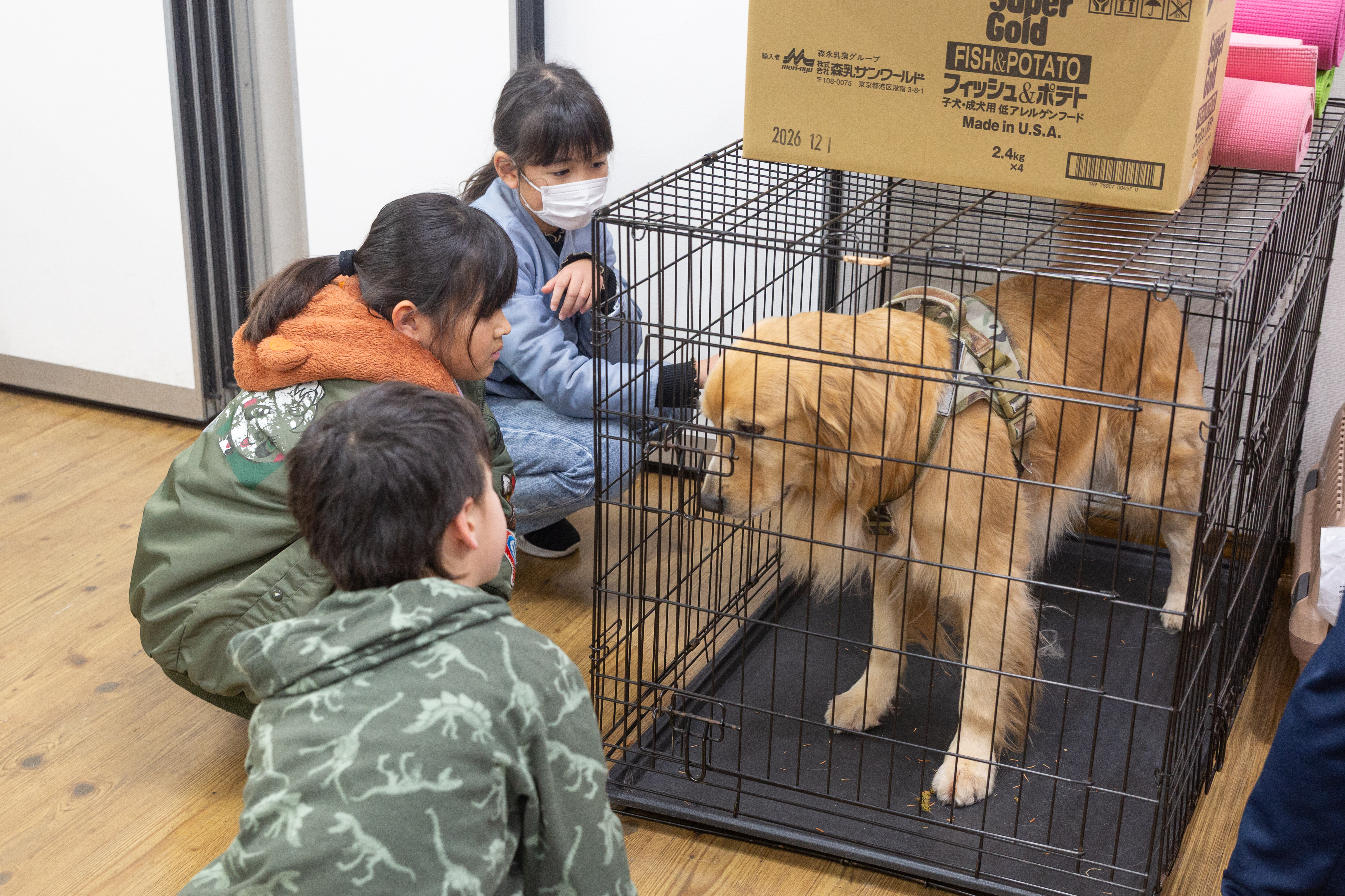 実施レポート画像 1