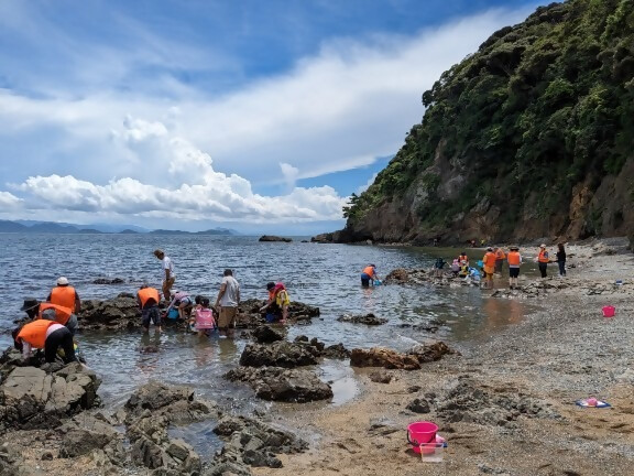 うみんぐ大島磯観察体験