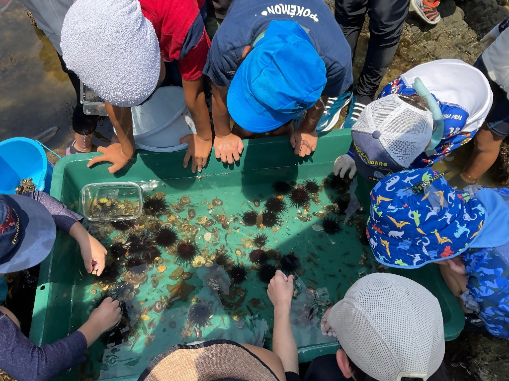 実施レポート画像 1