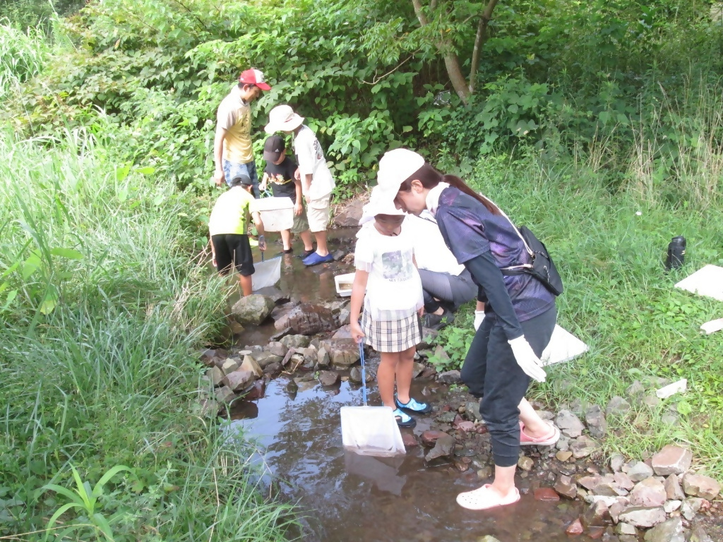 親子川の生き物観察会